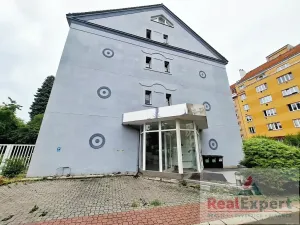 Pronájem bytu 1+kk, Praha - Žižkov, Jeseniova, 20 m2