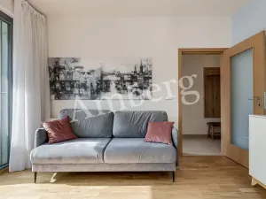 Pronájem bytu 2+kk, Praha - Karlín, U Mlýnského kanálu, 56 m2