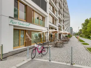 Pronájem bytu 2+kk, Praha - Karlín, U Mlýnského kanálu, 56 m2