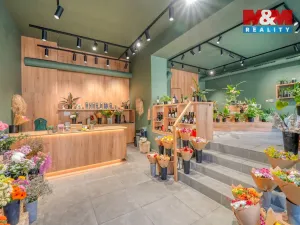 Pronájem obchodního prostoru, Plzeň - Jižní Předměstí, Americká, 145 m2