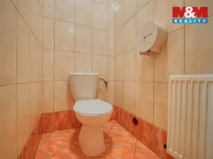 Pronájem obchodního prostoru, Plzeň - Jižní Předměstí, Americká, 145 m2