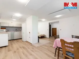 Prodej chaty, Město Albrechtice - Česká Ves, 142 m2