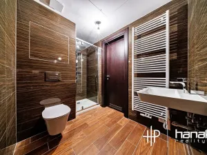 Pronájem bytu 1+kk, Olomouc, Třída Jiřího Pelikána, 33 m2