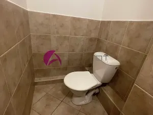 Pronájem bytu 1+1, Olomouc, Dolní hejčínská, 42 m2