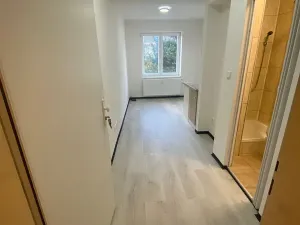Pronájem bytu 1+kk, Praha - Hlubočepy, Na Zlíchově, 23 m2