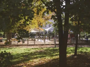 Pronájem bytu 2+kk, Brno, Jaselská, 51 m2