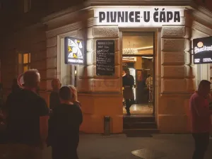 Pronájem bytu 2+kk, Brno, Jaselská, 51 m2