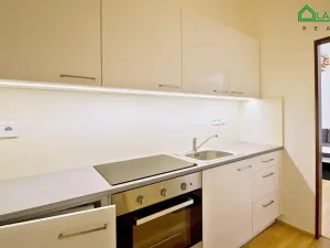 Pronájem bytu 1+kk, Brno, Koliště, 25 m2