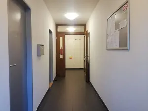 Pronájem bytu 1+1, Praha - Smíchov, Fráni Šrámka, 44 m2