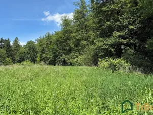 Prodej louky, Bílovice nad Svitavou, 3200 m2
