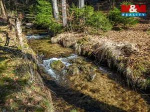 Prodej chalupy, Desná - Desná III, Polubenská, 248 m2
