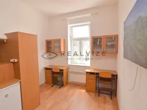 Pronájem bytu 1+kk, České Budějovice, Šumavská, 21 m2