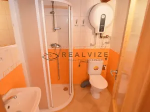 Pronájem bytu 1+kk, České Budějovice, Šumavská, 21 m2