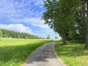 Prodej chaty, Borová, 53 m2