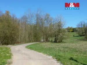 Prodej pozemku pro bydlení, Brzice, 1453 m2
