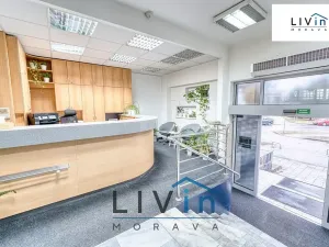 Pronájem kanceláře, Olomouc, Karolíny Světlé, 50 m2