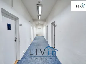 Pronájem kanceláře, Olomouc, Karolíny Světlé, 50 m2