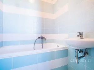 Pronájem bytu 2+1, České Budějovice - České Budějovice 5, Dobrovodská, 56 m2