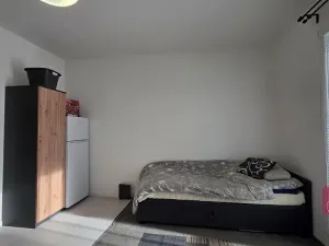 Prodej bytu 1+kk, Brno, Vltavská, 30 m2
