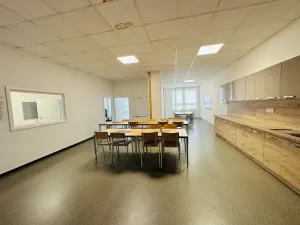 Pronájem výrobních prostor, Chodová Planá, Kyjovská, 2497 m2