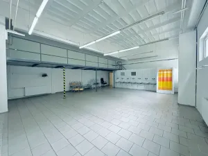 Pronájem výrobních prostor, Chodová Planá, Kyjovská, 2497 m2