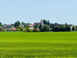 Prodej rodinného domu, Přišimasy, Skřivanská, 200 m2