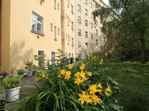 Pronájem bytu 2+kk, Praha - Vinohrady, Pod Zvonařkou, 50 m2