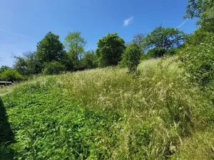 Prodej rodinného domu, Kožušice, 105 m2