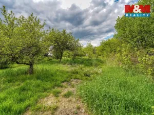 Prodej chalupy, Neurazy - Soběsuky, 138 m2