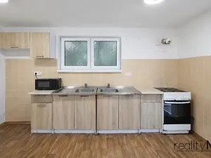 Pronájem ubytování, Dobrovice, 500 m2