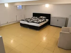 Pronájem bytu 2+kk, Cheb, Mánesova, 60 m2
