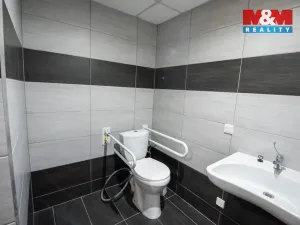 Pronájem bytu 1+kk, Hradec Králové, Sušilova, 32 m2