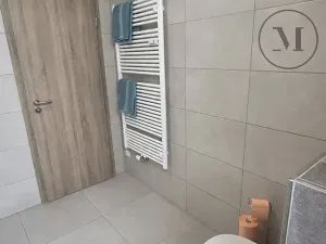 Pronájem bytu 1+kk, České Budějovice, Reinerova, 29 m2
