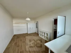 Pronájem bytu 1+1, Brno, Haškova, 30 m2