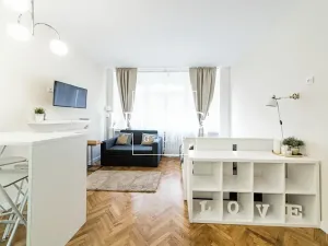 Pronájem bytu 1+kk, Praha - Nové Město, Na zbořenci, 27 m2