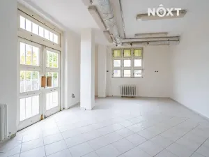Pronájem obchodního prostoru, Český Krumlov, Urbinská, 320 m2