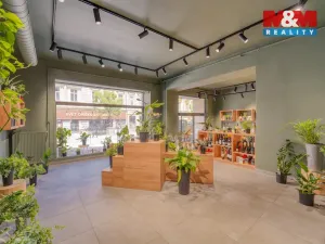 Pronájem restaurace, Plzeň - Jižní Předměstí, Americká, 145 m2