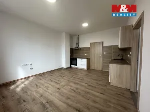 Pronájem bytu 1+1, Mělník, Kokořínská, 54 m2
