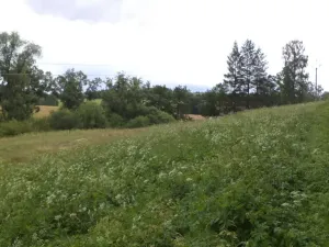 Prodej pozemku, Teplice nad Metují - Horní Teplice, 18922 m2