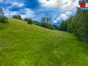 Prodej louky, Český Dub - Libíč, 12591 m2