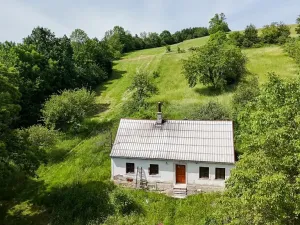 Prodej chalupy, Dlouhá Loučka, 80 m2