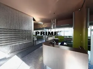 Pronájem bytu 3+kk, Praha - Žižkov, Prokopova, 154 m2