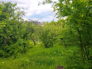 Prodej chaty, Brno, 12 m2