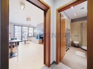 Pronájem bytu 1+kk, Brno, Kopečná, 40 m2