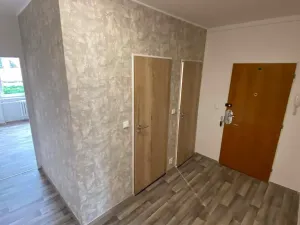 Pronájem bytu 1+1, Brno, Palackého třída, 50 m2