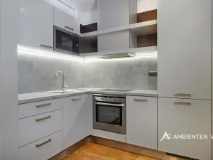 Pronájem bytu 1+kk, Brno, Kopečná, 40 m2