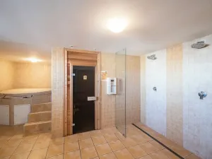 Pronájem bytu 2+kk, Brno, Palackého třída, 56 m2