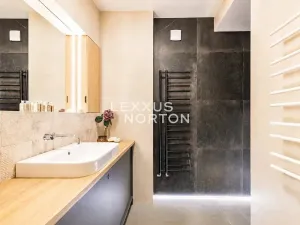 Pronájem bytu 4+kk, Praha - Vinohrady, Mánesova, 104 m2