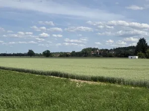 Pronájem bytu 2+kk, Bdeněves, 42 m2
