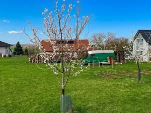 Prodej pozemku pro bydlení, Chrudim, Na Kopci, 1051 m2